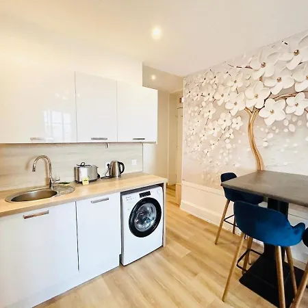Tabareau - 1 Bedroom - Croix Rousse 公寓 *